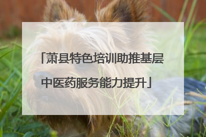 萧县特色培训助推基层中医药服务能力提升