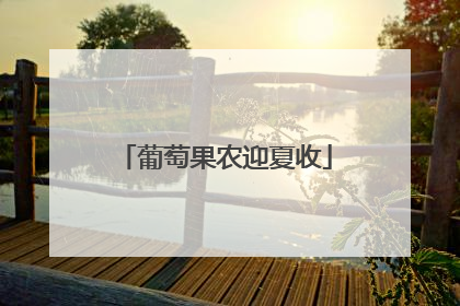 葡萄果农迎夏收