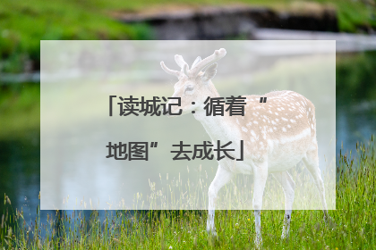 读城记：循着“地图”去成长