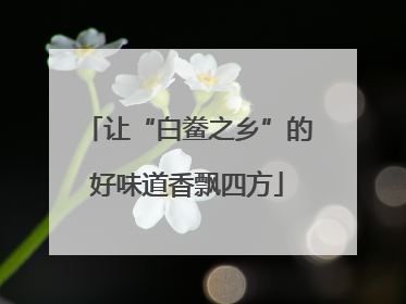 让“白鲞之乡”的好味道香飘四方