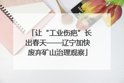 让“工业伤疤”长出春天——辽宁加快废弃矿山治理观察