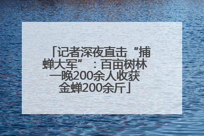 记者深夜直击“捕蝉大军”：百亩树林一晚200余人收获金蝉200余斤