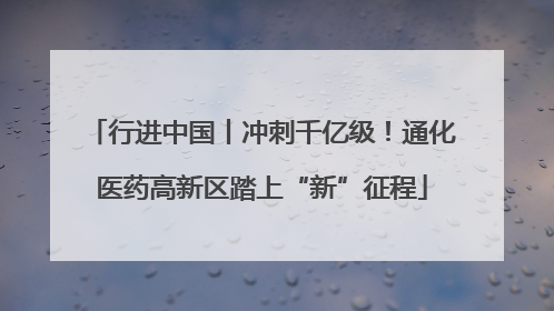 行进中国丨冲刺千亿级！通化医药高新区踏上“新”征程