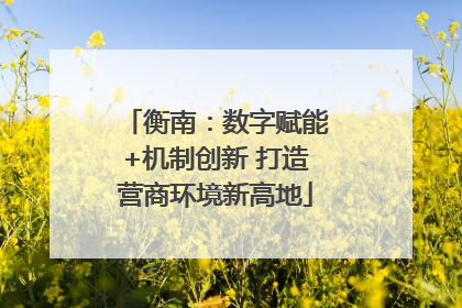 衡南：数字赋能+机制创新 打造营商环境新高地