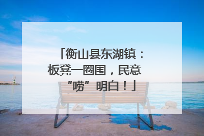 衡山县东湖镇：板凳一圈围，民意“唠”明白！