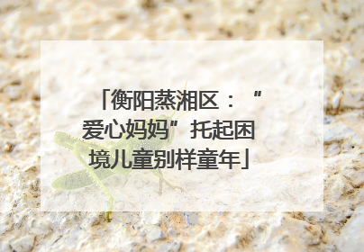 衡阳蒸湘区：“爱心妈妈”托起困境儿童别样童年