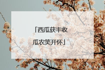 西瓜获丰收 瓜农笑开怀