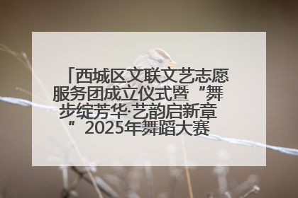 西城区文联文艺志愿服务团成立仪式暨“舞步绽芳华·艺韵启新章”2025年舞蹈大赛展演圆满举办