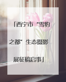 西宁市“雪豹之都”生态摄影展征稿启事