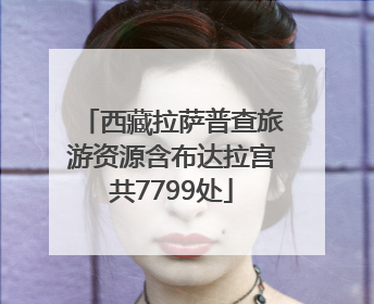西藏拉萨普查旅游资源含布达拉宫共7799处