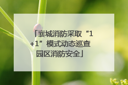 襄城消防采取“1+1”模式动态巡查园区消防安全