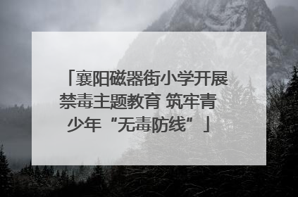 襄阳磁器街小学开展禁毒主题教育 筑牢青少年“无毒防线”
