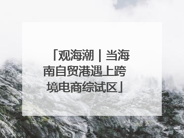 观海潮｜当海南自贸港遇上跨境电商综试区