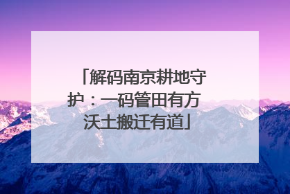 解码南京耕地守护：一码管田有方 沃土搬迁有道