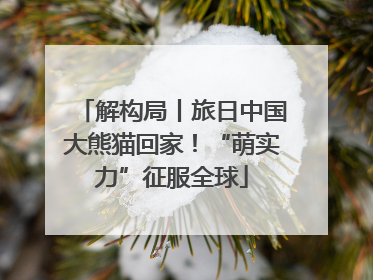 解构局丨旅日中国大熊猫回家！“萌实力”征服全球