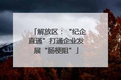 解放区：“纪企直通”打通企业发展“肠梗阻”