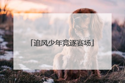 追风少年竞逐赛场