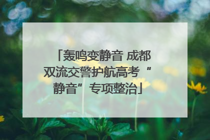 轰鸣变静音 成都双流交警护航高考“静音”专项整治