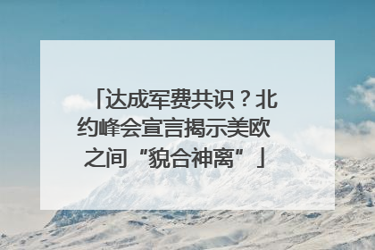 达成军费共识？北约峰会宣言揭示美欧之间“貌合神离”