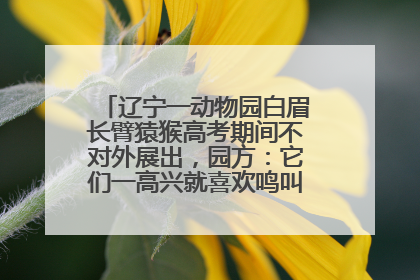 辽宁一动物园白眉长臂猿猴高考期间不对外展出，园方：它们一高兴就喜欢鸣叫，怕影响考试