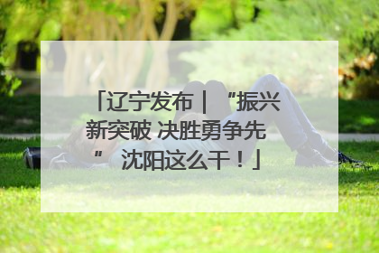 辽宁发布｜“振兴新突破 决胜勇争先” 沈阳这么干！