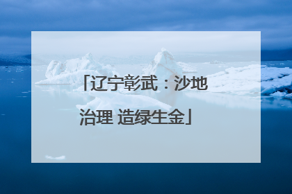辽宁彰武：沙地治理 造绿生金