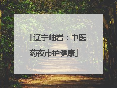 辽宁岫岩：中医药夜市护健康