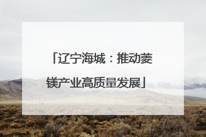 辽宁海城：推动菱镁产业高质量发展