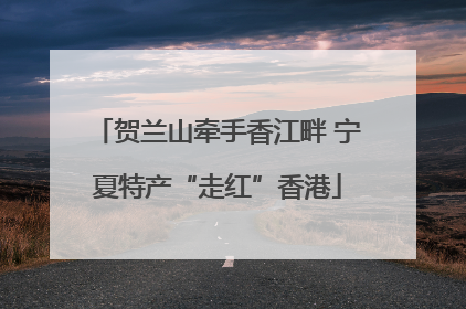 贺兰山牵手香江畔 宁夏特产“走红”香港