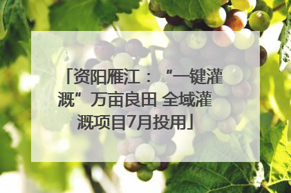 资阳雁江：“一键灌溉”万亩良田 全域灌溉项目7月投用