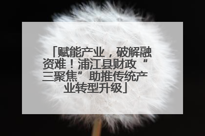 赋能产业，破解融资难！浦江县财政“三聚焦”助推传统产业转型升级