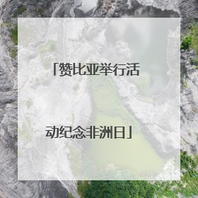 赞比亚举行活动纪念非洲日