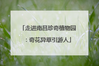 走进南昌珍奇植物园：奇花异草引游人
