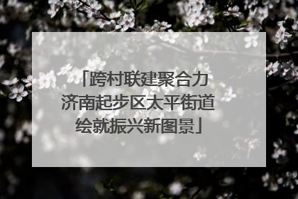 跨村联建聚合力 济南起步区太平街道绘就振兴新图景