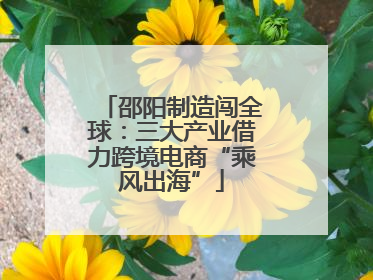 邵阳制造闯全球：三大产业借力跨境电商“乘风出海”
