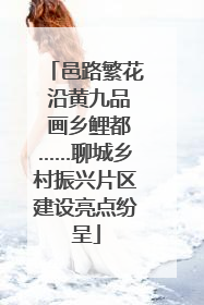邑路繁花 沿黄九品 画乡鲤都……聊城乡村振兴片区建设亮点纷呈