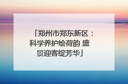 郑州市郑东新区：科学养护绘荷韵 盛景迎客绽芳华