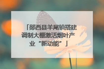 郧西县羊尾镇搭建调制大棚激活烟叶产业“新动能”