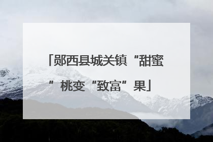 郧西县城关镇“甜蜜”桃变“致富”果