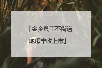 金乡县王丕街道地瓜丰收上市