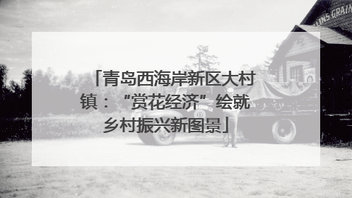 青岛西海岸新区大村镇：“赏花经济”绘就乡村振兴新图景