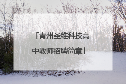 青州圣维科技高中教师招聘简章