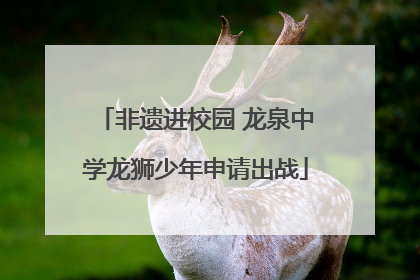 非遗进校园 龙泉中学龙狮少年申请出战