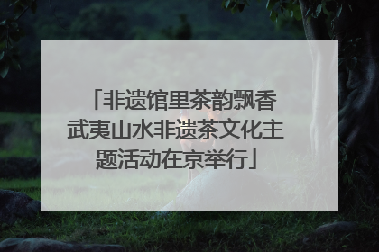 非遗馆里茶韵飘香 武夷山水非遗茶文化主题活动在京举行