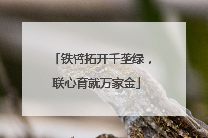 铁臂拓开千垄绿，联心育就万家金