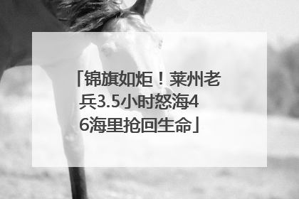 锦旗如炬！莱州老兵3.5小时怒海46海里抢回生命