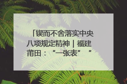 锲而不舍落实中央八项规定精神｜福建莆田：“一张表”“一张图”为基层减轻“数字负担”