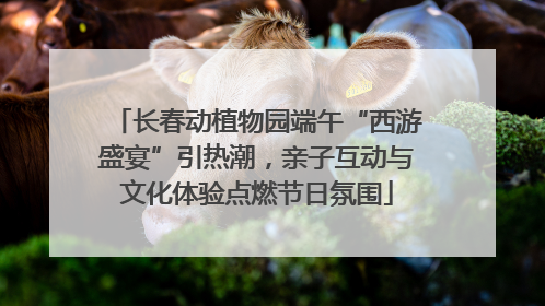 长春动植物园端午“西游盛宴”引热潮，亲子互动与文化体验点燃节日氛围