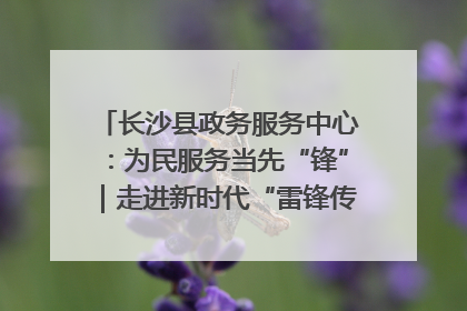 长沙县政务服务中心：为民服务当先“锋”｜走进新时代“雷锋传人 长沙榜样”