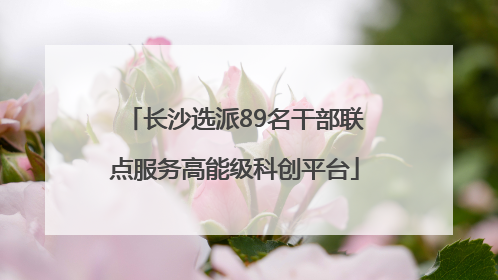 长沙选派89名干部联点服务高能级科创平台